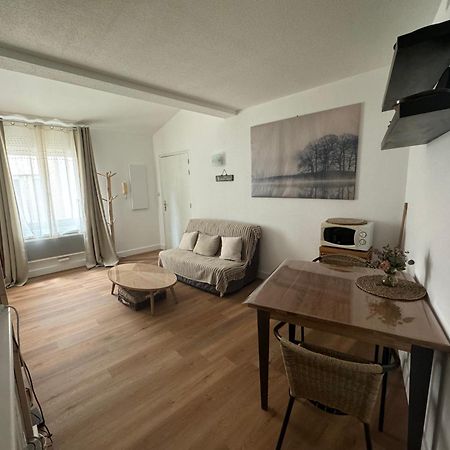 Apartament T2 *Hypercentre* Bord De Garonne Tuluza Zewnętrze zdjęcie