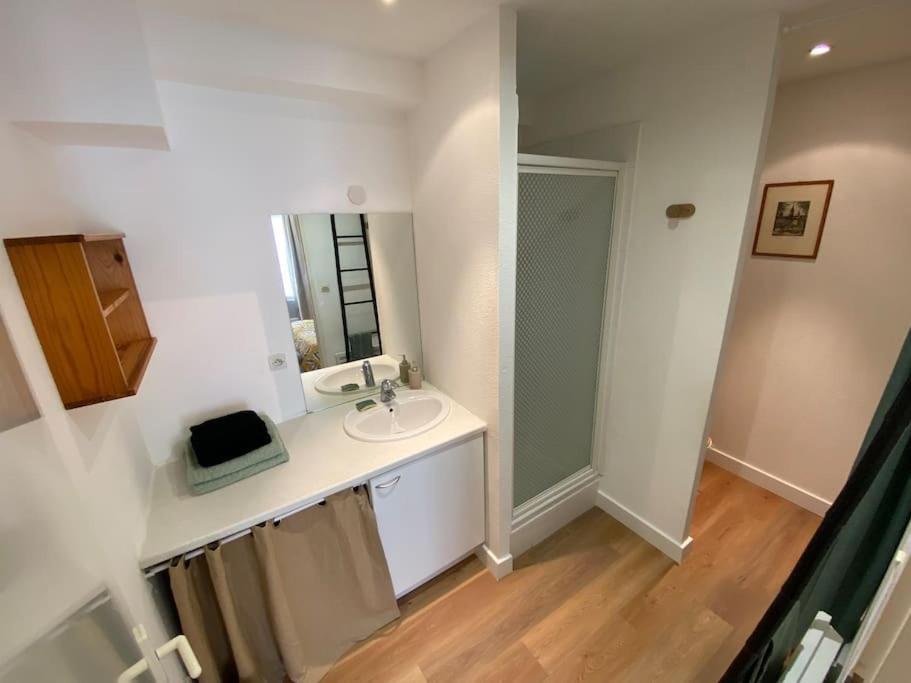 Apartament T2 *Hypercentre* Bord De Garonne Tuluza Zewnętrze zdjęcie